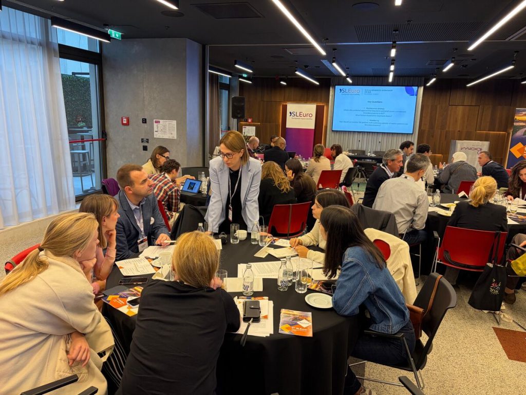 SLEuro Workshop Belgrade – Day 1 (6)