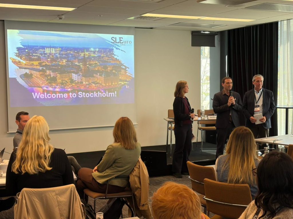 SLEuro_Workshop_Stockholm-19
